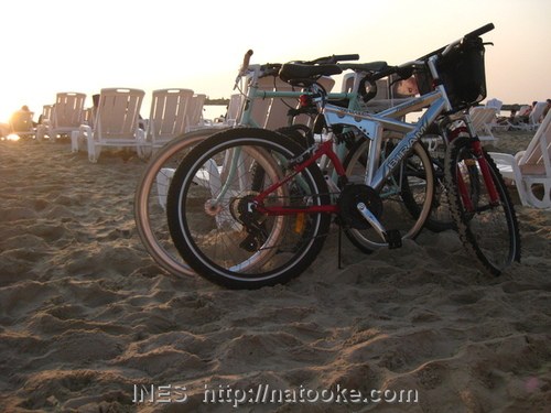Bikes on Tel Aviv Beach